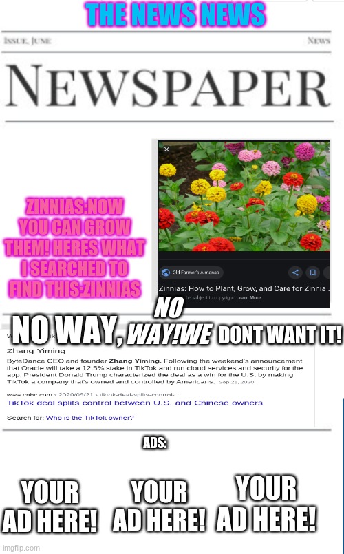 the news news as of 12/9/20(put your ads in the comments) | THE NEWS NEWS; ZINNIAS:NOW YOU CAN GROW THEM! HERES WHAT I SEARCHED TO FIND THIS:ZINNIAS; NO WAY!WE; DONT WANT IT! NO WAY, ADS:; YOUR AD HERE! YOUR AD HERE! YOUR AD HERE! | image tagged in news,newspaper | made w/ Imgflip meme maker