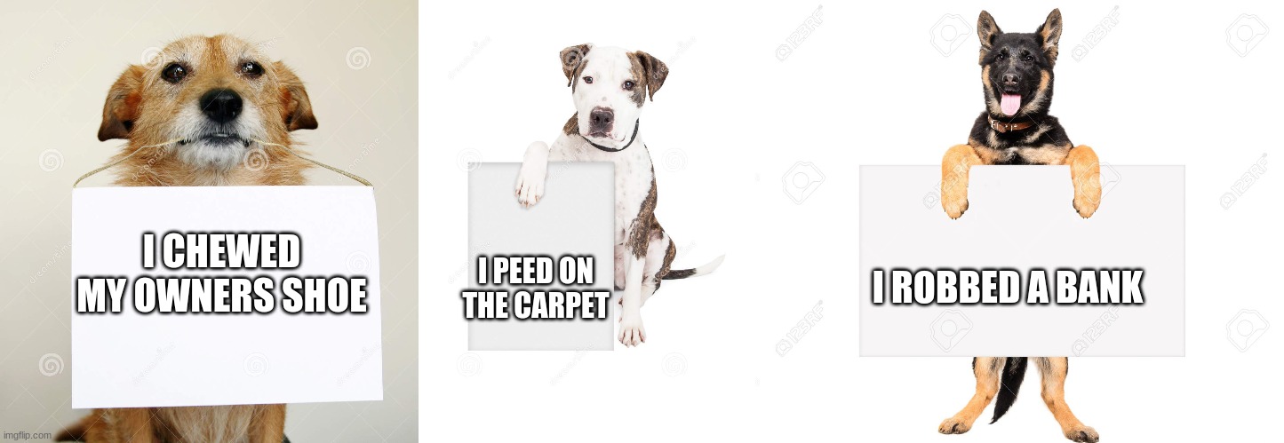 Dogs | I PEED ON THE CARPET; I CHEWED MY OWNERS SHOE; I ROBBED A BANK | image tagged in dogs,sign,bank | made w/ Imgflip meme maker