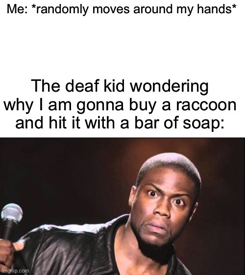 Lol | Me: *randomly moves around my hands*; The deaf kid wondering why I am gonna buy a raccoon and hit it with a bar of soap: | image tagged in kevin heart idiot | made w/ Imgflip meme maker