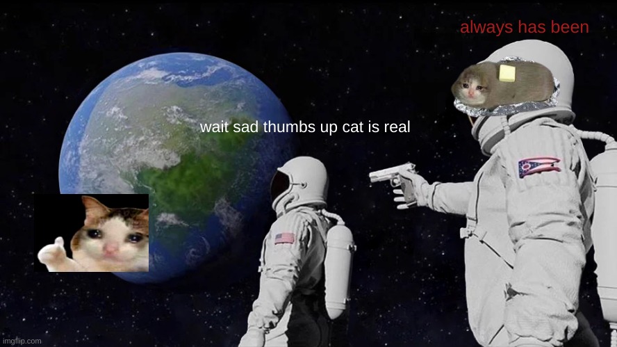 sad cat army | always has been; wait sad thumbs up cat is real | image tagged in memes,always has been | made w/ Imgflip meme maker