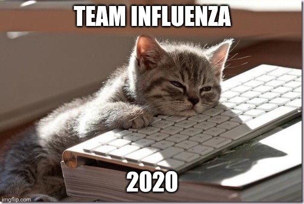 Team influenza 2020 | TEAM INFLUENZA; 2020 | image tagged in bored keyboard cat | made w/ Imgflip meme maker