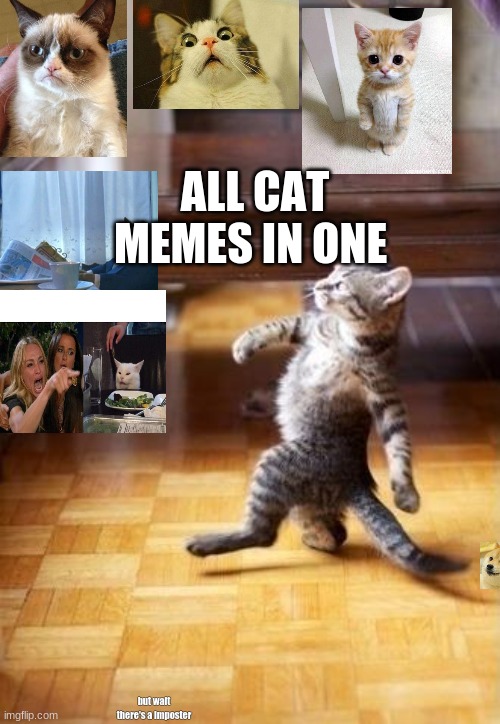 they are all cats or are they | ALL CAT MEMES IN ONE; but wait there's a imposter | image tagged in memes,cool cat stroll | made w/ Imgflip meme maker