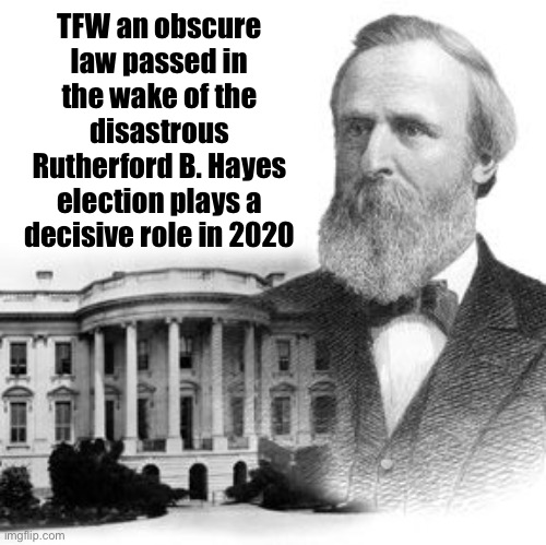 Tl;dr Safe Harbor beeeeeeeotch | TFW an obscure law passed in the wake of the disastrous Rutherford B. Hayes election plays a decisive role in 2020 | image tagged in rutherford b hayes,election 2020,2020 elections,democracy,historical meme,i love democracy | made w/ Imgflip meme maker