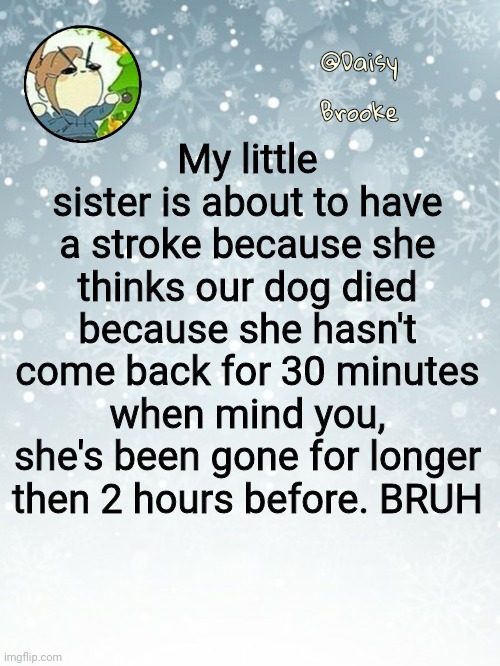 Bruh have Christ | My little sister is about to have a stroke because she thinks our dog died because she hasn't come back for 30 minutes when mind you, she's been gone for longer then 2 hours before. BRUH | image tagged in daisy's christmas template | made w/ Imgflip meme maker