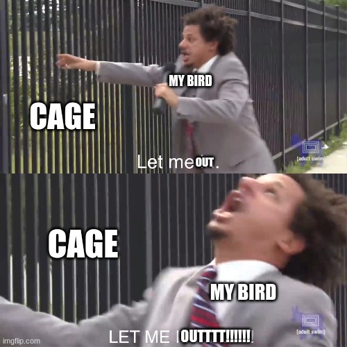 let me in | MY BIRD; CAGE; OUT; CAGE; MY BIRD; OUTTTT!!!!!! | image tagged in let me in | made w/ Imgflip meme maker