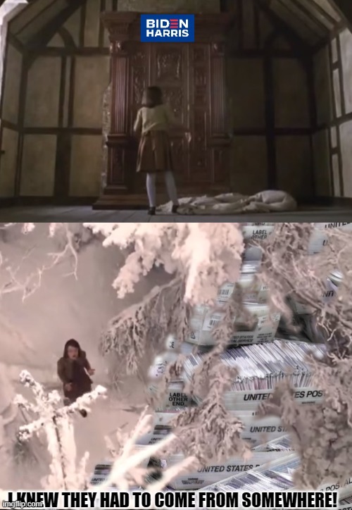 Narnia ballots | I KNEW THEY HAD TO COME FROM SOMEWHERE! | image tagged in political meme | made w/ Imgflip meme maker