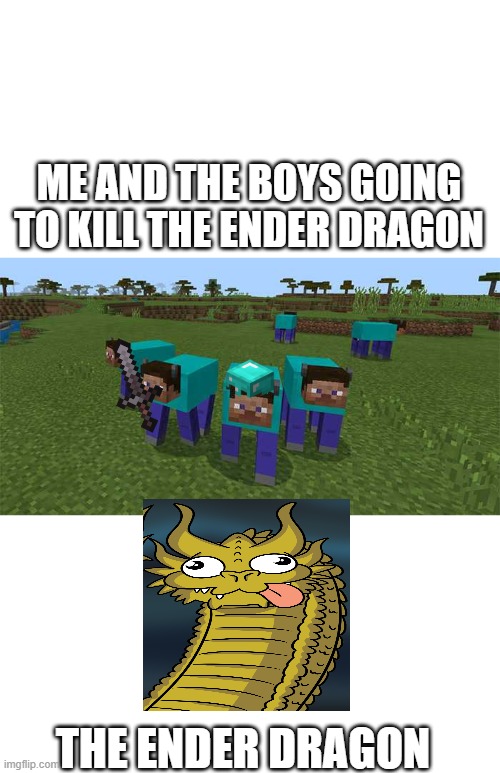 me and the boys | ME AND THE BOYS GOING TO KILL THE ENDER DRAGON; THE ENDER DRAGON | image tagged in me and the boys | made w/ Imgflip meme maker