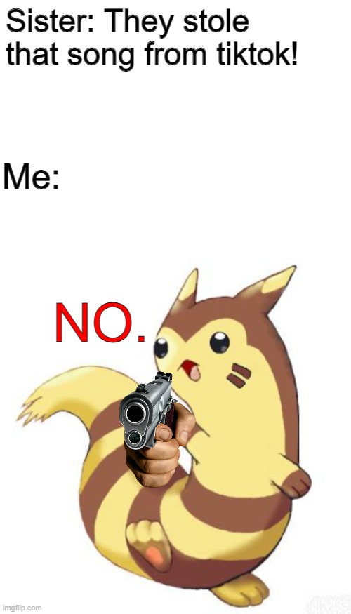 NO TIKTOK | Sister: They stole that song from tiktok! Me:; NO. | image tagged in blank white template,furret wave | made w/ Imgflip meme maker