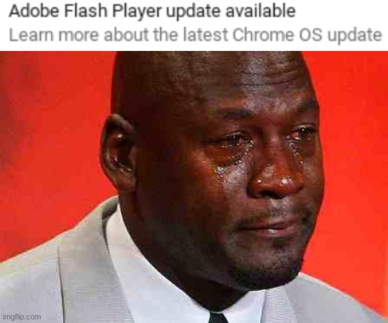 goodbye good ol friend adobe flash ( maybe, idk why they would update it before shutting it down) | image tagged in crying michael jordan | made w/ Imgflip meme maker