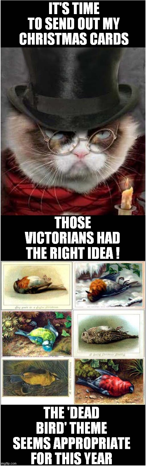 Grumpy Cats Christmas Wishes | IT'S TIME TO SEND OUT MY CHRISTMAS CARDS; THOSE VICTORIANS HAD THE RIGHT IDEA ! THE 'DEAD BIRD' THEME
SEEMS APPROPRIATE FOR THIS YEAR | image tagged in grumpy cat,grumpy cat christmas,christmas cards | made w/ Imgflip meme maker