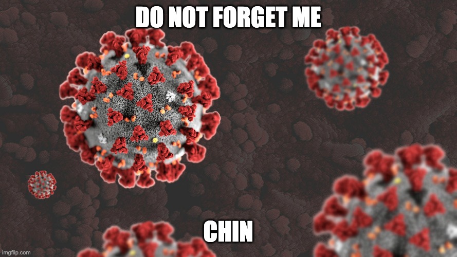 Coronavirus | DO NOT FORGET ME CHIN | image tagged in coronavirus | made w/ Imgflip meme maker