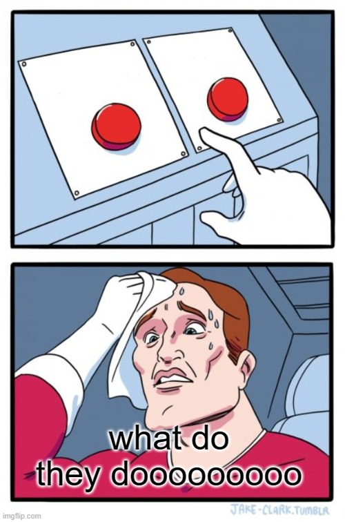 Two Buttons | what do they dooooooooo | image tagged in memes,two buttons | made w/ Imgflip meme maker