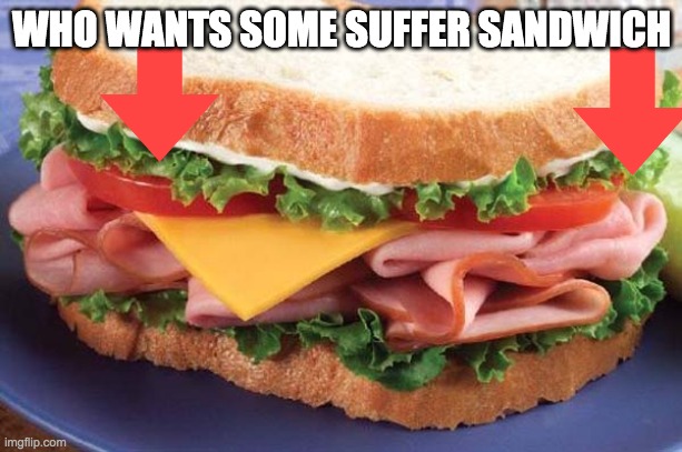 Sandwich | WHO WANTS SOME SUFFER SANDWICH | image tagged in sandwich | made w/ Imgflip meme maker