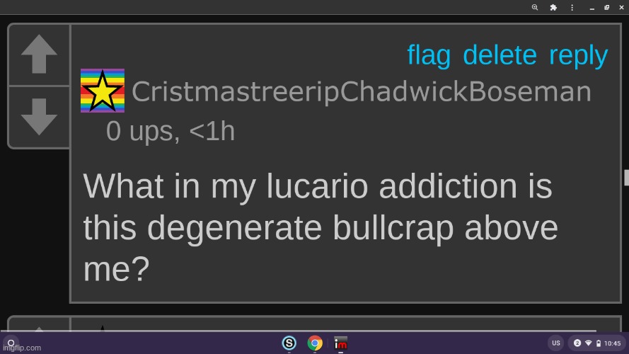 image tagged in what in my lucario addiction is this degenerate bullcrap above | made w/ Imgflip meme maker