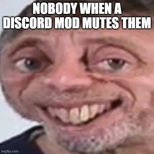 discord mods | NOBODY WHEN A DISCORD MOD MUTES THEM | image tagged in noice | made w/ Imgflip meme maker