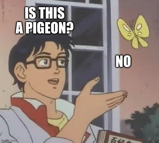 Is This A Pigeon | IS THIS A PIGEON? NO | image tagged in memes,is this a pigeon | made w/ Imgflip meme maker