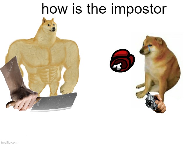 Buff Doge vs. Cheems Meme | how is the impostor | image tagged in memes,buff doge vs cheems | made w/ Imgflip meme maker