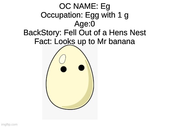 Blank White Template | OC NAME: Eg
Occupation: Egg with 1 g
Age:0
BackStory: Fell Out of a Hens Nest
Fact: Looks up to Mr banana | image tagged in blank white template | made w/ Imgflip meme maker