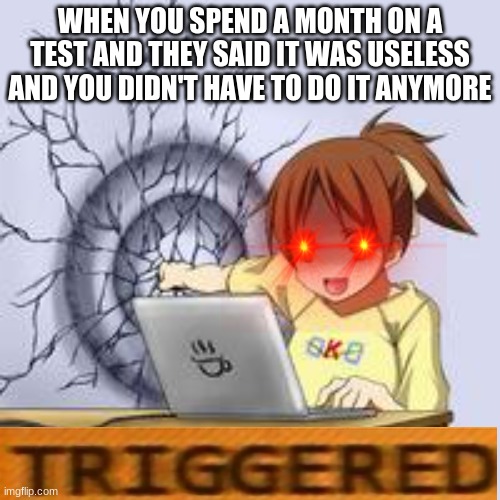 SHIT | WHEN YOU SPEND A MONTH ON A TEST AND THEY SAID IT WAS USELESS AND YOU DIDN'T HAVE TO DO IT ANYMORE | image tagged in anime wall punch | made w/ Imgflip meme maker