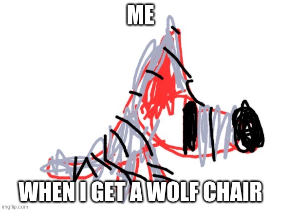Suprised Cat |  ME; WHEN I GET A WOLF CHAIR | image tagged in suprised cat,animals | made w/ Imgflip meme maker
