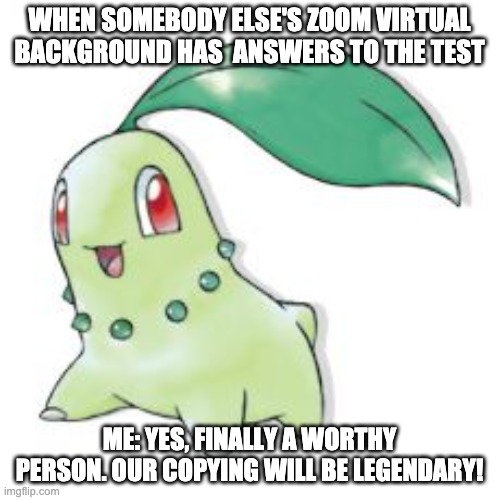 Chikorita | WHEN SOMEBODY ELSE'S ZOOM VIRTUAL BACKGROUND HAS  ANSWERS TO THE TEST ME: YES, FINALLY A WORTHY PERSON. OUR COPYING WILL BE LEGENDARY! | image tagged in chikorita | made w/ Imgflip meme maker