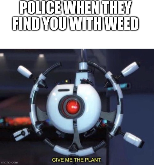 idk | POLICE WHEN THEY FIND YOU WITH WEED | image tagged in blank white template,give me the plant | made w/ Imgflip meme maker