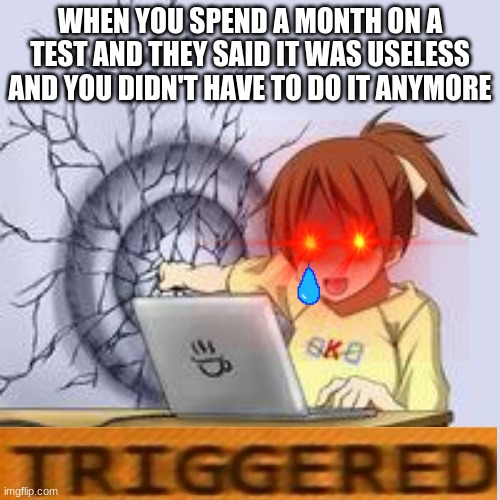 reuploaded shit | WHEN YOU SPEND A MONTH ON A TEST AND THEY SAID IT WAS USELESS AND YOU DIDN'T HAVE TO DO IT ANYMORE | image tagged in anime wall punch | made w/ Imgflip meme maker