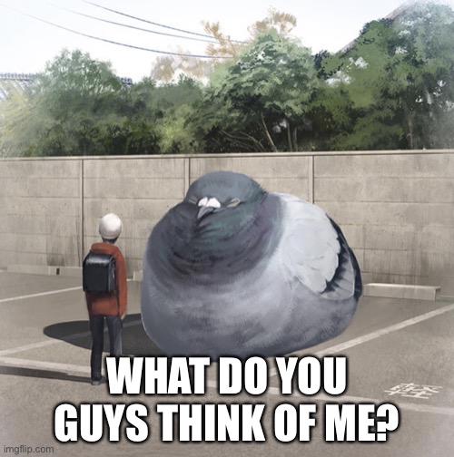 Beeg Birb | WHAT DO YOU GUYS THINK OF ME? | image tagged in beeg birb | made w/ Imgflip meme maker