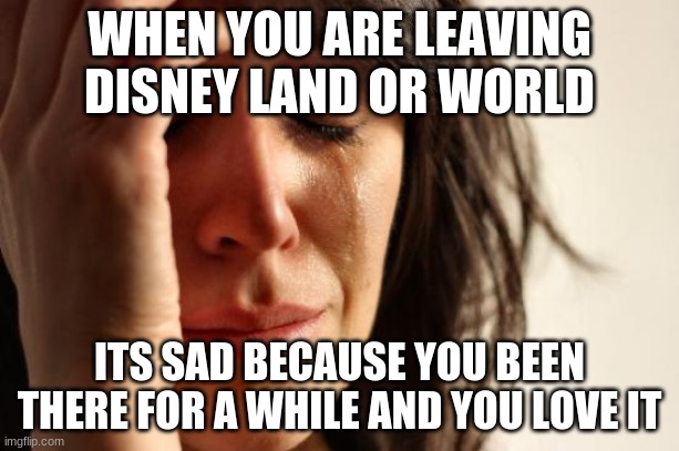 First World Problems Meme | WHEN YOU ARE LEAVING DISNEY LAND OR WORLD; ITS SAD BECAUSE YOU BEEN THERE FOR A WHILE AND YOU LOVE IT | image tagged in memes,first world problems | made w/ Imgflip meme maker