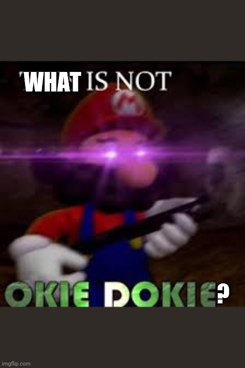 This is not okie dokie | WHAT ? | image tagged in this is not okie dokie | made w/ Imgflip meme maker