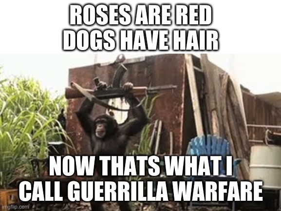 ape with ak-47 | ROSES ARE RED
DOGS HAVE HAIR; NOW THATS WHAT I CALL GUERRILLA WARFARE | image tagged in memes,funny,poetry,guns,ape | made w/ Imgflip meme maker