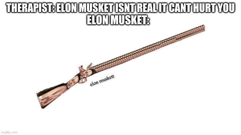 Elon Musket | THERAPIST: ELON MUSKET ISNT REAL IT CANT HURT YOU; ELON MUSKET: | image tagged in elon musket,therapist,memes | made w/ Imgflip meme maker