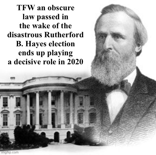 Tl;dr That’s one safe harbor | TFW an obscure law passed in the wake of the disastrous Rutherford B. Hayes election ends up playing a decisive role in 2020 | image tagged in rutherford b hayes,election 2020,2020 elections,i love democracy,democracy,historical meme | made w/ Imgflip meme maker