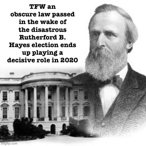 Tl;dr Safe harbor y’all | TFW an obscure law passed in the wake of the disastrous Rutherford B. Hayes election ends up playing a decisive role in 2020 | image tagged in rutherford b hayes,election 2020,2020 elections,historical meme,i love democracy,democracy | made w/ Imgflip meme maker