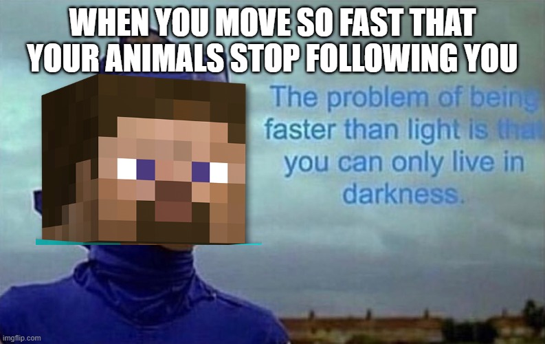 The problem of being faster than the speed of light is that you can only live in darkness | WHEN YOU MOVE SO FAST THAT YOUR ANIMALS STOP FOLLOWING YOU | image tagged in depression sonic,minecraft | made w/ Imgflip meme maker