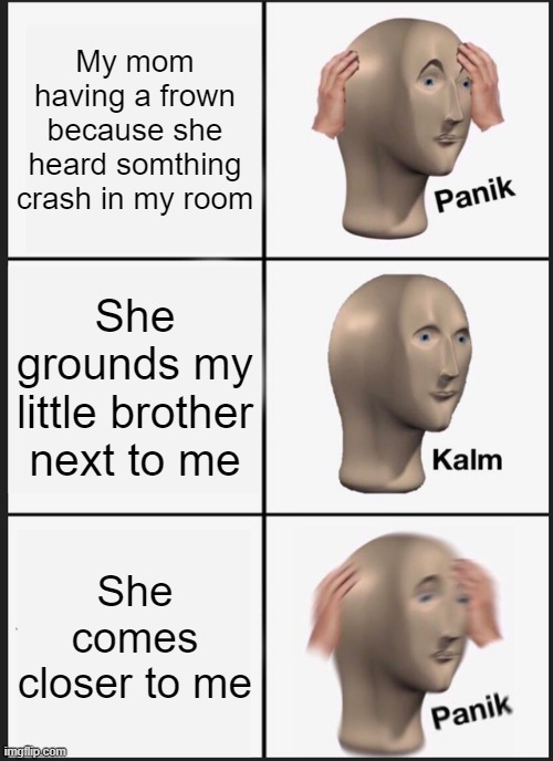 me in my daily life | My mom having a frown because she heard somthing crash in my room; She grounds my little brother next to me; She comes closer to me | image tagged in memes,panik kalm panik | made w/ Imgflip meme maker