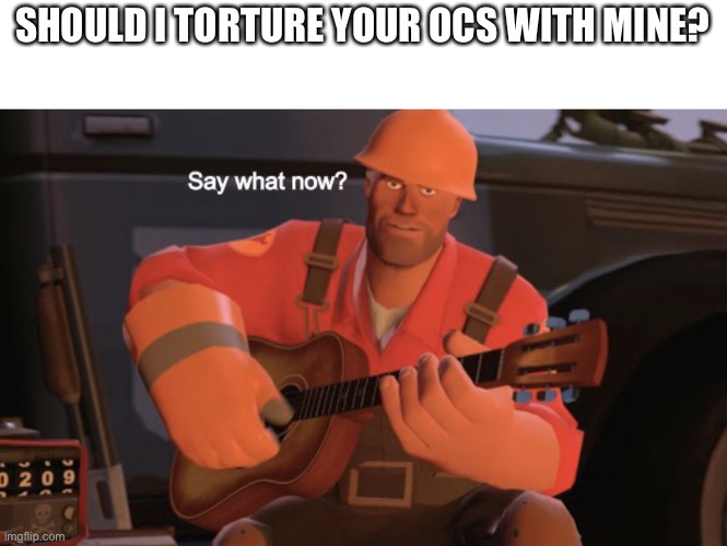 Say what now? | SHOULD I TORTURE YOUR OCS WITH MINE? | image tagged in say what now,oc | made w/ Imgflip meme maker