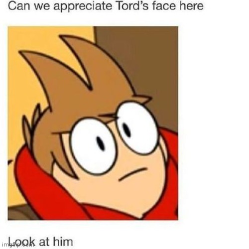 Time to see if anyone knows what eddsworld is | image tagged in prolly no one | made w/ Imgflip meme maker
