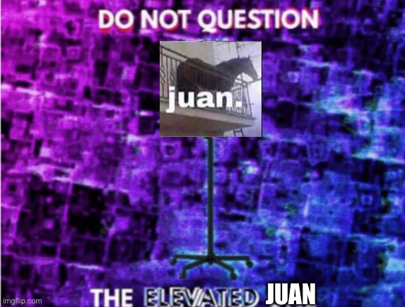 Do not question the elevated one | JUAN | image tagged in do not question the elevated one | made w/ Imgflip meme maker