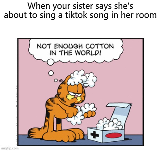 This should be turned into a meme | When your sister says she's about to sing a tiktok song in her room | image tagged in blank white template,garfield,tiktok | made w/ Imgflip meme maker