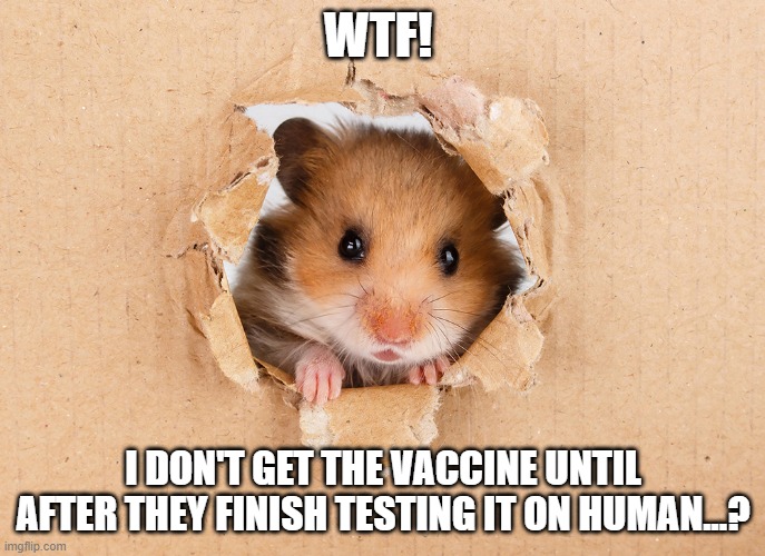 animal testing | WTF! I DON'T GET THE VACCINE UNTIL AFTER THEY FINISH TESTING IT ON HUMAN...? | image tagged in coronavirus | made w/ Imgflip meme maker