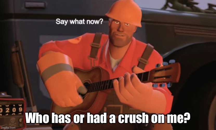 Say what now? | Who has or had a crush on me? | image tagged in say what now | made w/ Imgflip meme maker
