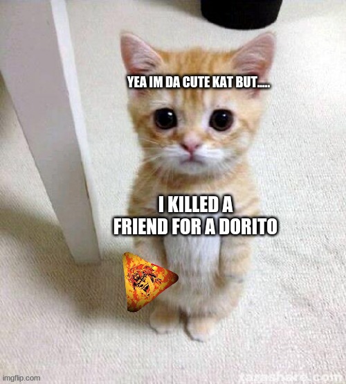 dorito cat | image tagged in dorito cat | made w/ Imgflip meme maker