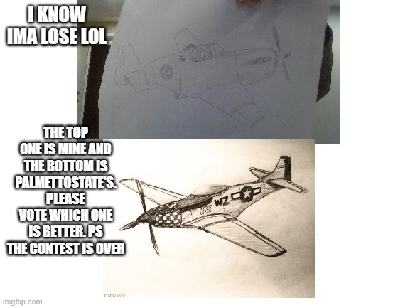 vote plz | I KNOW IMA LOSE LOL; THE TOP ONE IS MINE AND THE BOTTOM IS PALMETTOSTATE'S. PLEASE VOTE WHICH ONE IS BETTER. PS THE CONTEST IS OVER | image tagged in drawing | made w/ Imgflip meme maker