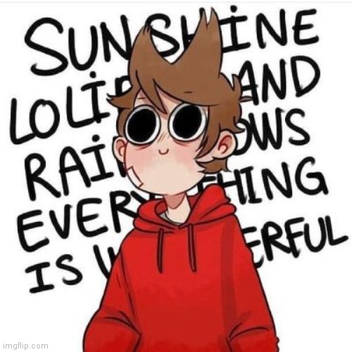 This was my phone background for the longest time | made w/ Imgflip meme maker