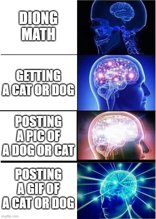Expanding Brain | DIONG MATH; GETTING A CAT OR DOG; POSTING A PIC OF A DOG OR CAT; POSTING A GIF OF A CAT OR DOG | image tagged in memes,expanding brain | made w/ Imgflip meme maker