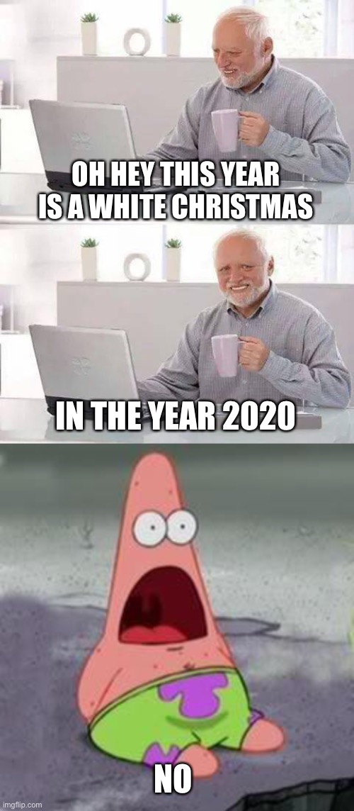 OH HEY THIS YEAR IS A WHITE CHRISTMAS; IN THE YEAR 2020; NO | image tagged in memes,hide the pain harold,suprised patrick | made w/ Imgflip meme maker