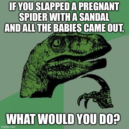(Fixed) | IF YOU SLAPPED A PREGNANT SPIDER WITH A SANDAL AND ALL THE BABIES CAME OUT, WHAT WOULD YOU DO? | image tagged in memes,philosoraptor | made w/ Imgflip meme maker