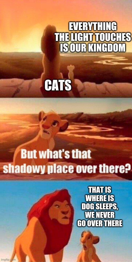 Simba Shadowy Place Meme | EVERYTHING THE LIGHT TOUCHES IS OUR KINGDOM; CATS; THAT IS WHERE IS DOG SLEEPS, WE NEVER GO OVER THERE | image tagged in memes,simba shadowy place | made w/ Imgflip meme maker