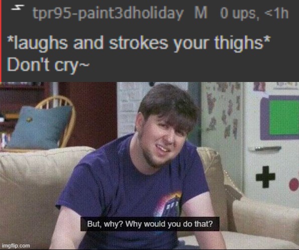 PAINT HAS GONE TOO FAR | image tagged in but why why would you do that | made w/ Imgflip meme maker